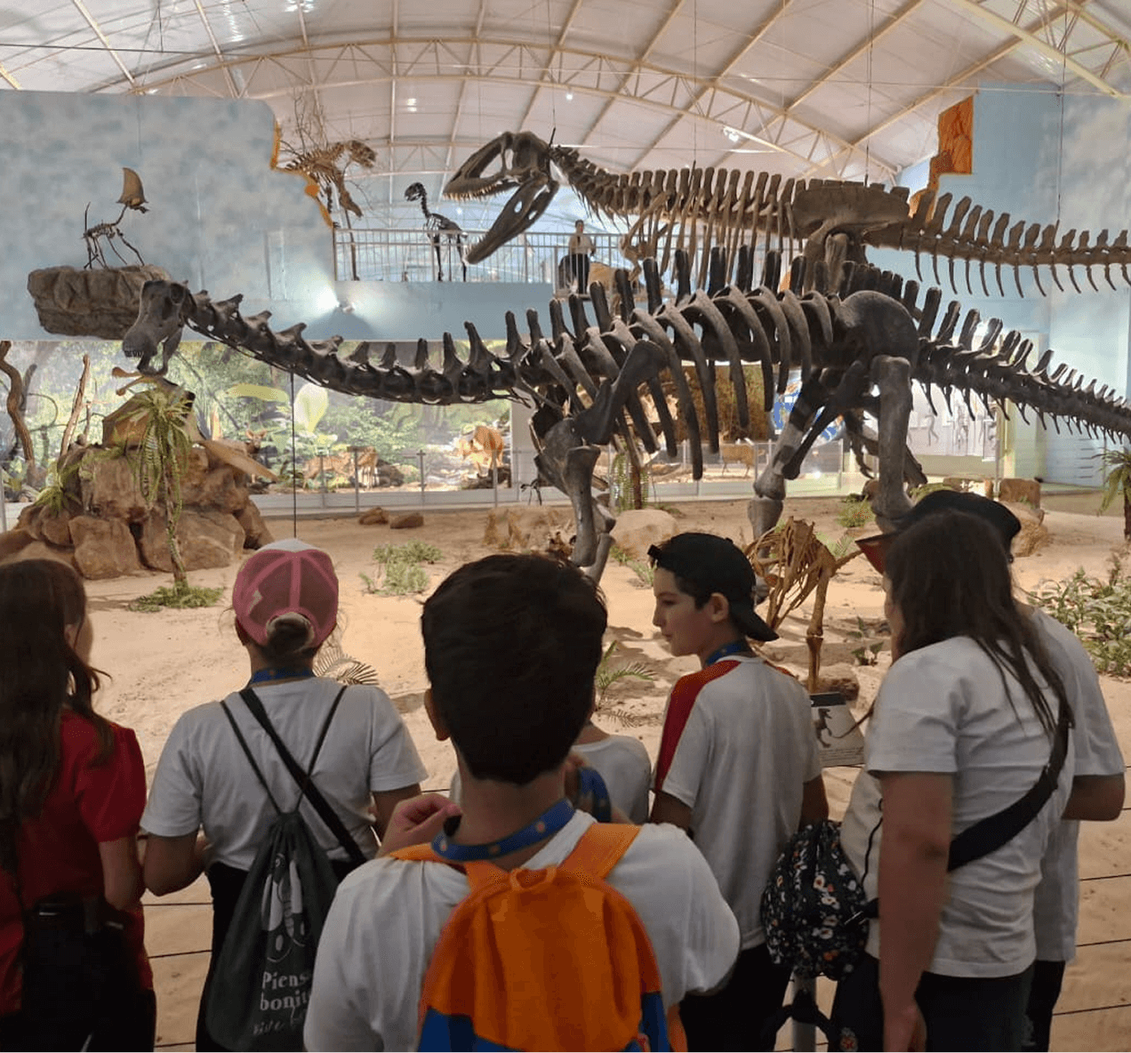 Projetos interdisciplinares o aluno como protagonista