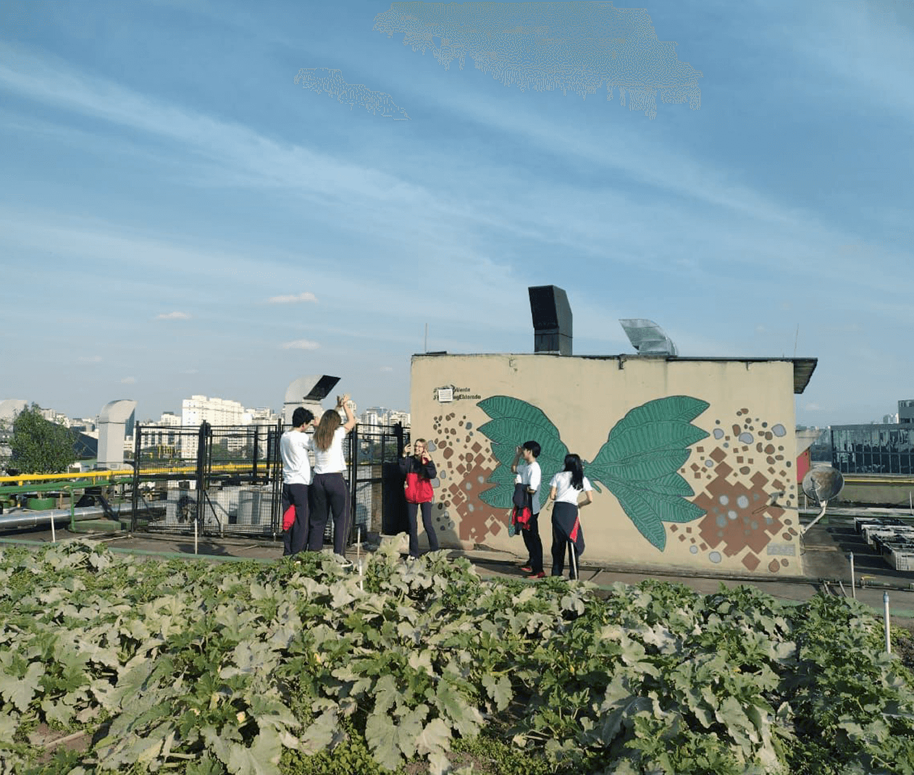 Currículo eletivo e itinerários formativos